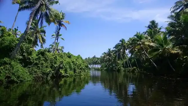 Poovar Backwaters